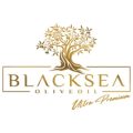 blacksea-logo